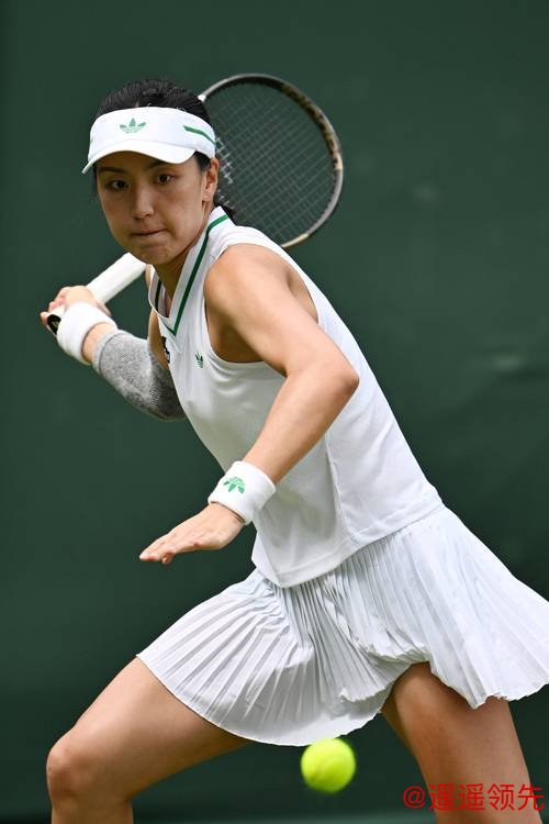 奥运网球第3日中国军团2胜4负 2对女双止步首轮