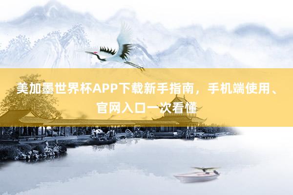 美加墨世界杯APP下载新手指南，手机端使用、官网入口一次看懂